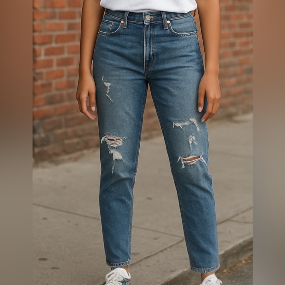 Agolde Boyfriend Blue Distressed Jeans